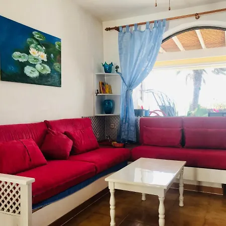 Taurus In Solymarcalma *