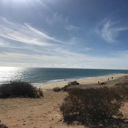 Taurus In Solymarcalma *