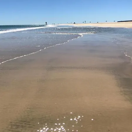 Taurus In Solymarcalma