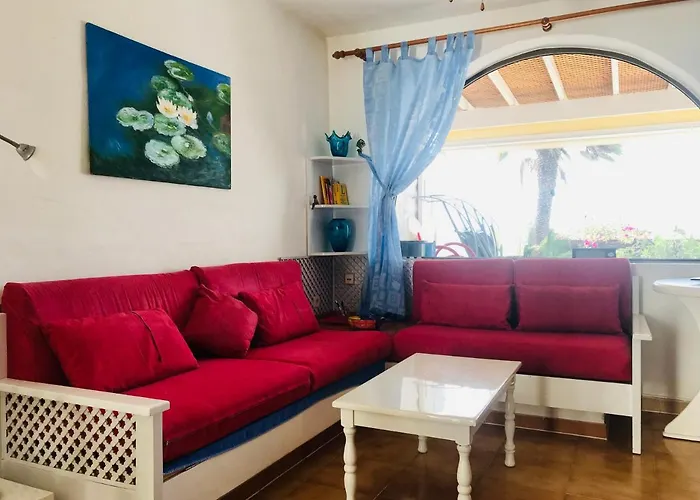 Taurus In Solymarcalma *