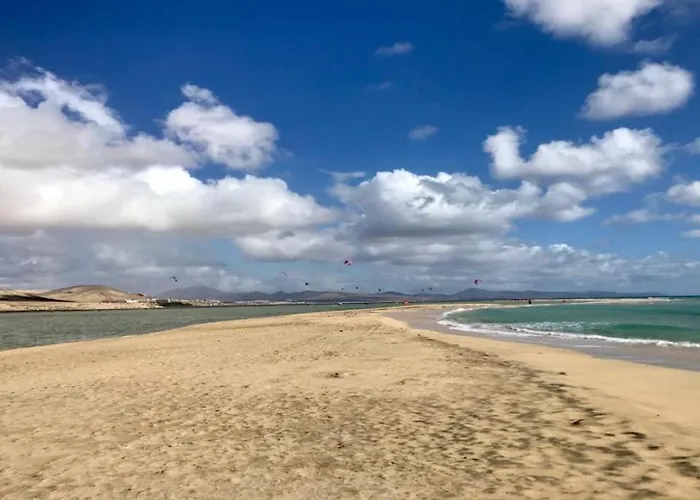 Taurus In Solymarcalma