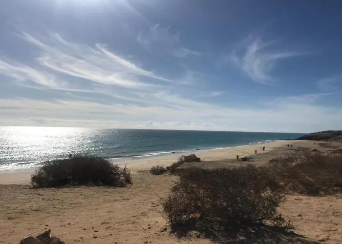 Taurus In Solymarcalma *