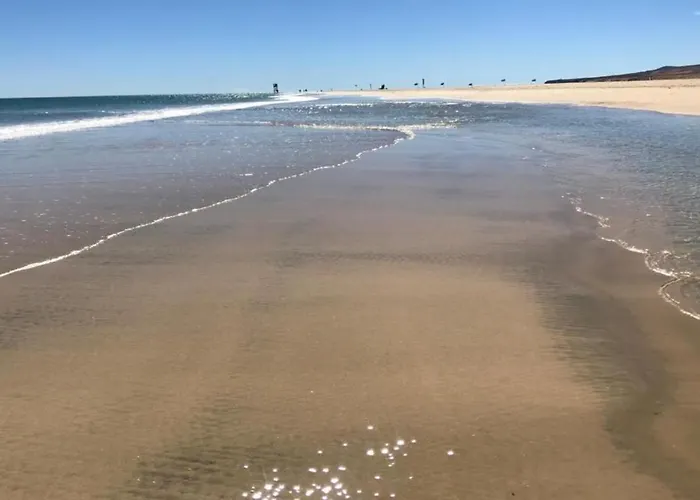 Taurus In Solymarcalma